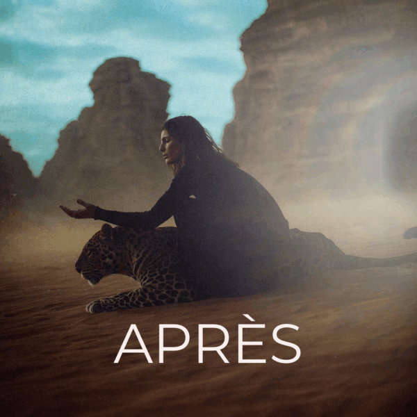 PACK PRO – Image 7