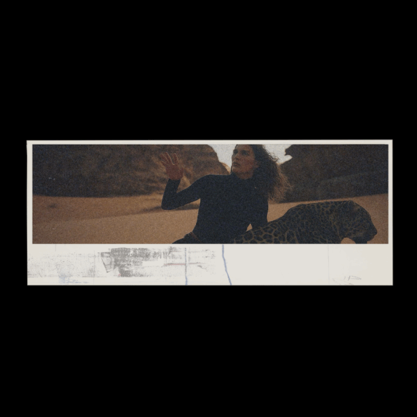 PACK PRO – Image 5