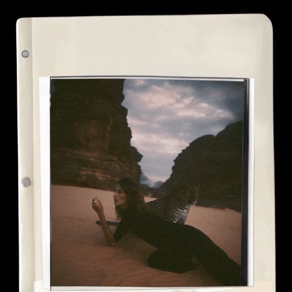 PACK PRO – Image 8