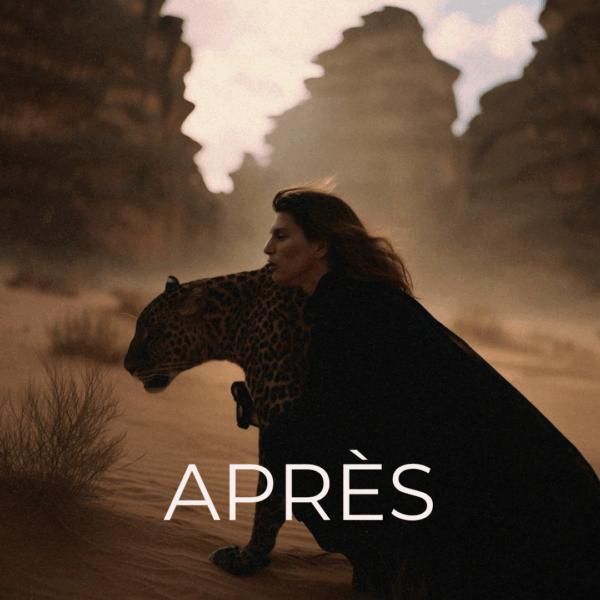 PACK PRO – Image 3